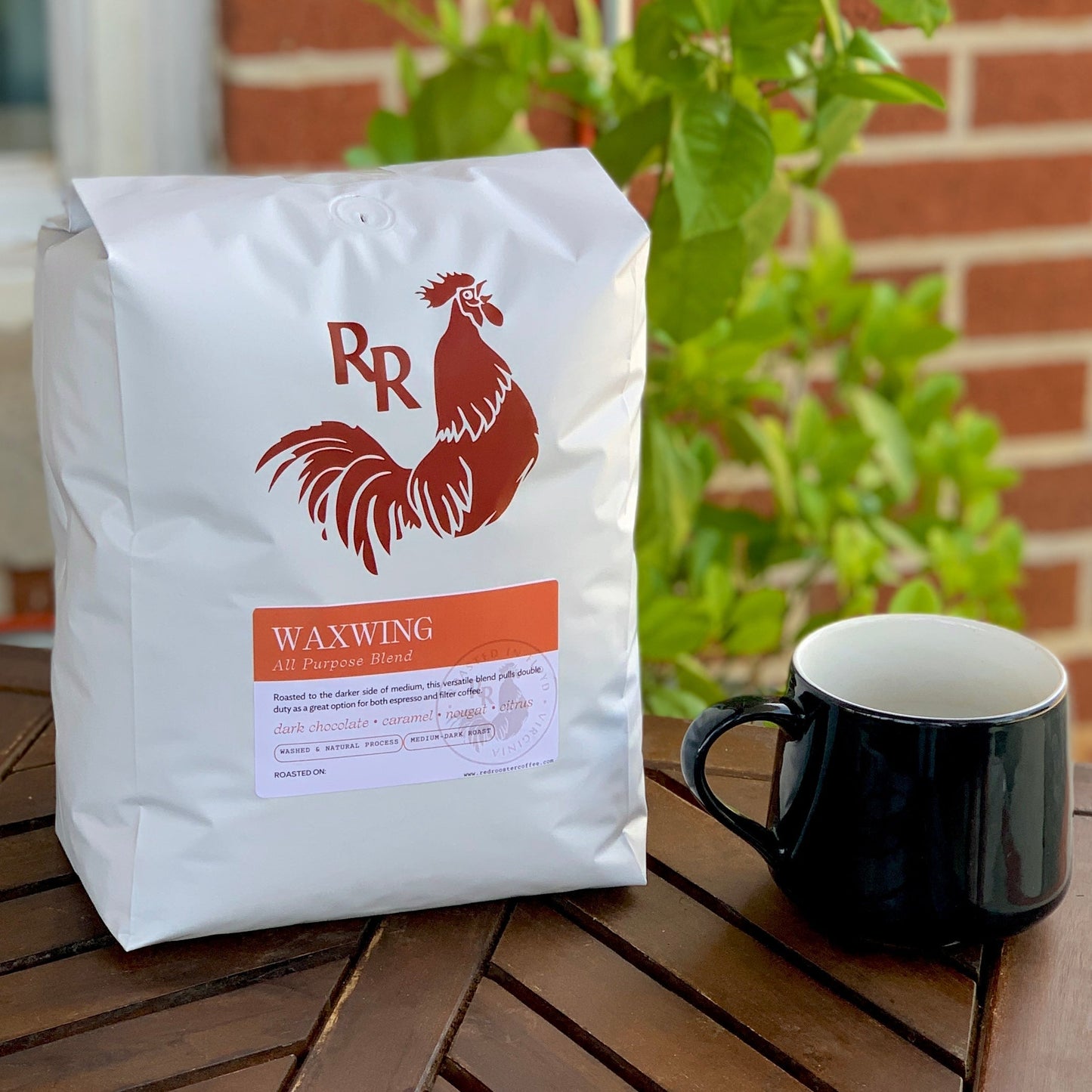 Waxwing All-Purpose Blend - Fresh Coffee Selection for Daily Routines