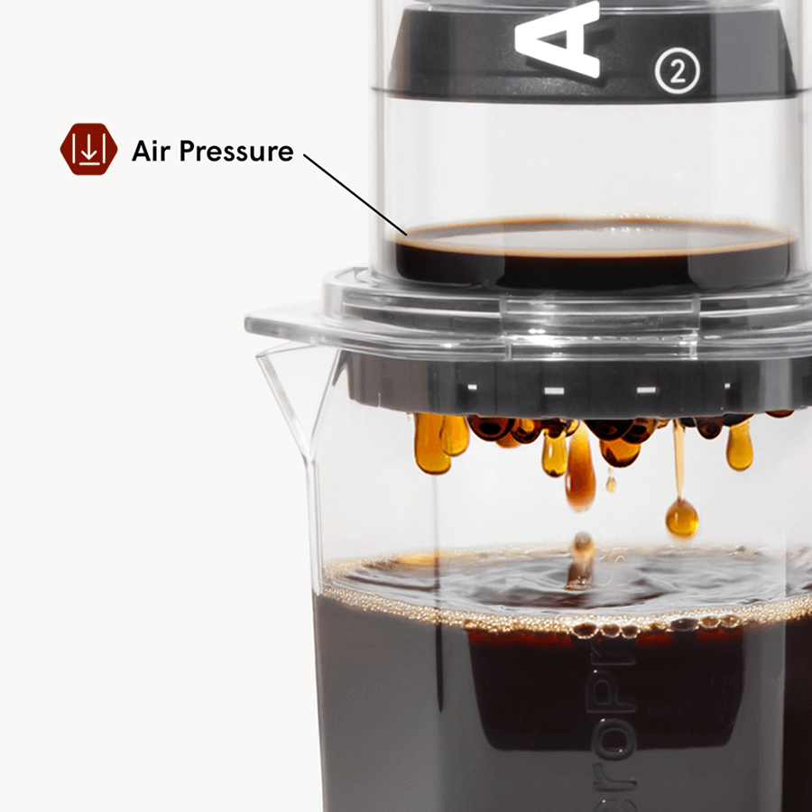 Traveler’s Bundle - Clear XL - Complete Brewing Set for Everyday Coffee