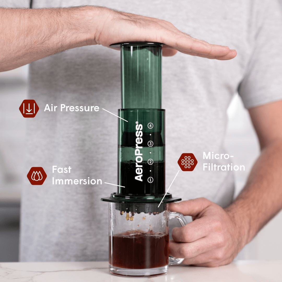 Recipe Bundle - Clear - Complete Brewing Set for Everyday Coffee