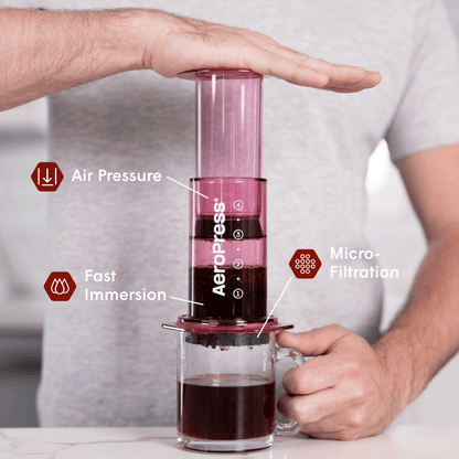 Recipe Bundle - Clear - Complete Brewing Set for Everyday Coffee
