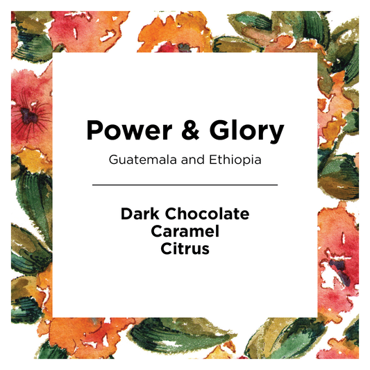 Power & Glory - Fresh Coffee Selection for Daily Routines