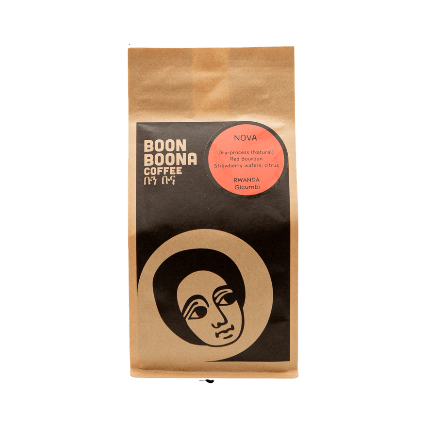 Nova 12 oz - Fresh Coffee Selection for Daily Routines