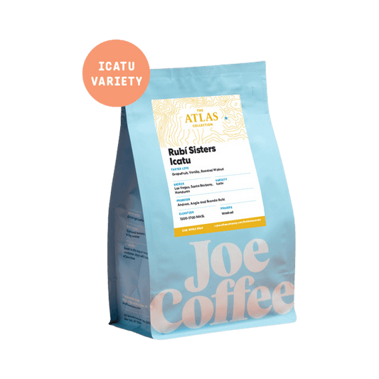 Rubi Sisters Icatu 12 oz - Fresh Coffee Selection for Daily Routines