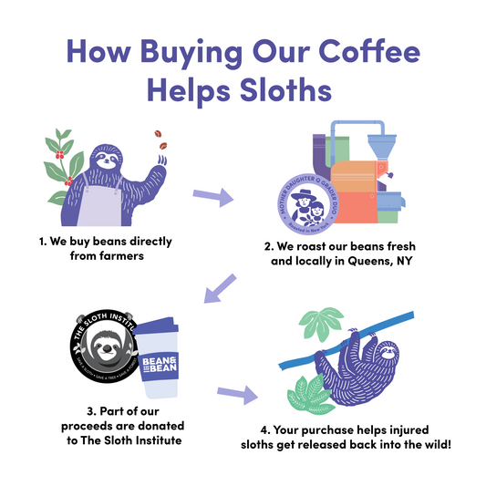 Rio Nights - Fresh Coffee Selection for Daily Routines